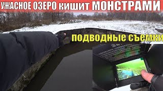 Вот где рыба зимует!  Кинул Подводную КАМЕРУ! Их тут полно!