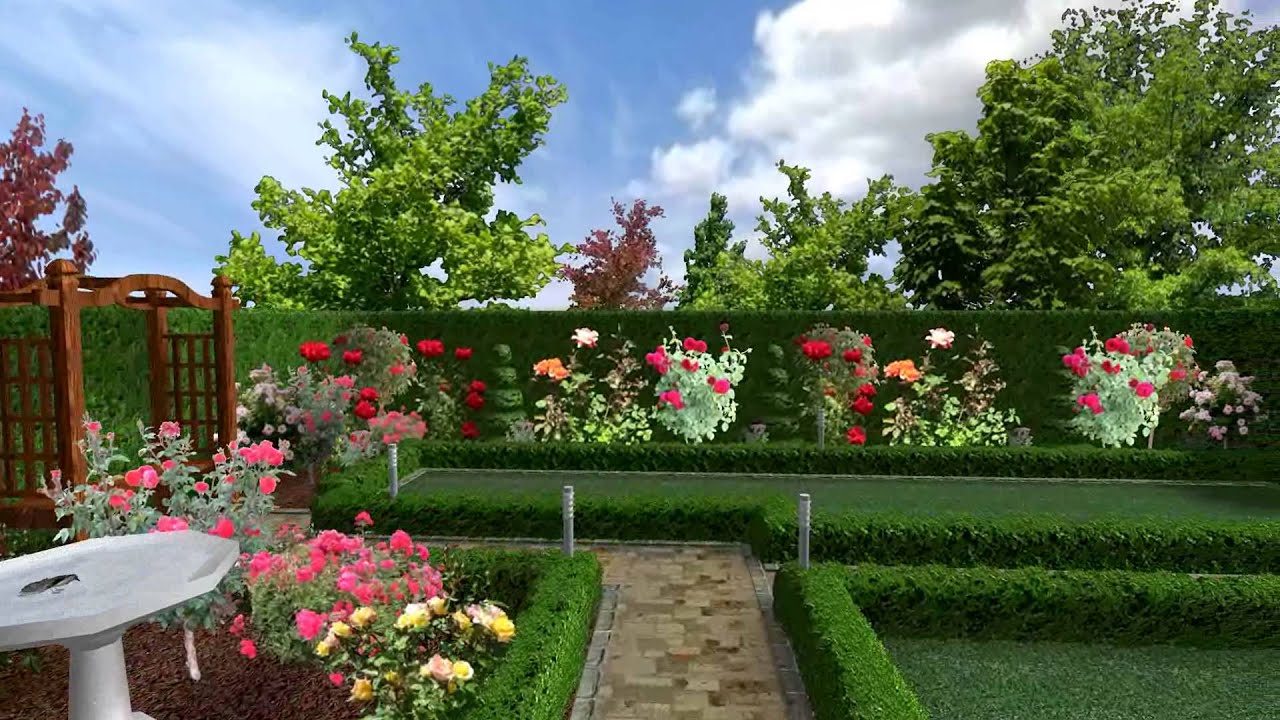 Backyard Rose Garden Ideas Cnn Times Idn
