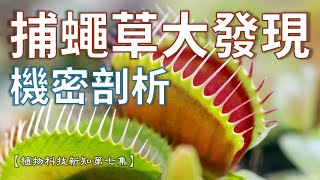 【植科大大】植物科技新知第七集：捕蠅草的30秒理論破解！！ [20201122]