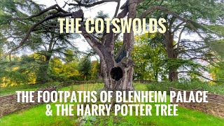 THE COTSWOLDS / The Outer Grounds of Blenheim Palace