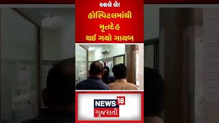 Vadodara News : આલે લે! હોસ્પિટલમાંથી મૃતદેહ થઈ ગયો ગાયબ | Hospital | Gujarati News | N18S #shorts