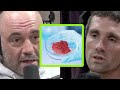 Will Lab-Grown Meat Lead Even More Vegans to Give Up? || Joe Rongans