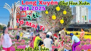 Chợ Hoa Tết Long Xuyên 2025 nhiều lô hoa đã lên, tiếp tục Mai Khủng Tiền Tỉ cập bến giá mới nhất