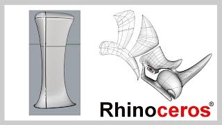 Rhino tutorial軟件教學 21 快速捏出一個有機型