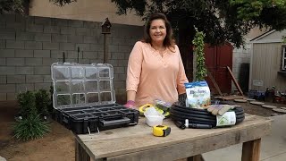 Planting Creeping Fig to Cover a Block Wall ~ birdhouse garden