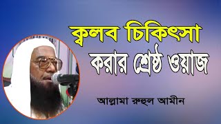 ক্বলব চিকিৎসার সেরা ওয়াজ | আল্লামা রুহুল আমিন | Allama Ruhul Amin | New Bangla Waz | ICB Digital