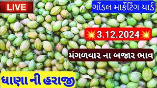 ધાણાના સૌથી ઊંચા ભાવ / ગોંડલ ધાણા ના બજાર ભાવ /ધાણા ના બજાર ભાવ /ગોંડલ માર્કેટિંગ યાર્ડના બજાર ભાવ