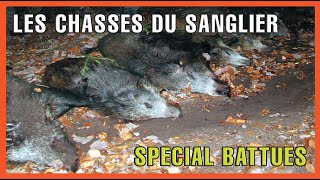 Les chasses du sanglier : spécial battues aux sangliers - Chasse du grand gibier - DVC44