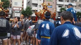 深川八幡祭り（水掛け祭り）　富岡八幡宮　例祭　町内神輿渡御　2018.8.11