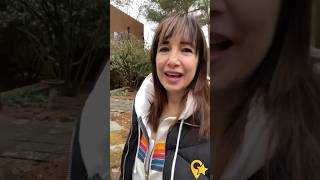 What’s happening in this small town? #smalltownlife #connecticut #travelpodcast #shorts