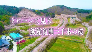 ドローンで見る故郷の風景　「飯舘復興三千本の桜」