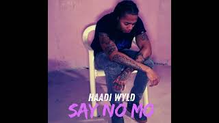 Haadi Wyld - Say No More