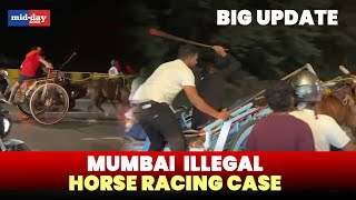 Mira-Bhayander Illegal Horse Racing Case: PETA India wins interim custody of six Horses