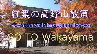 2022 紅葉の高野山散策　Koyasan walk in autumn leaves