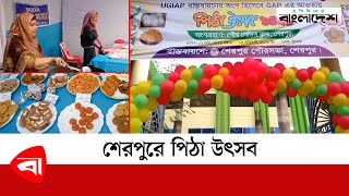 শেরপুরে পিঠা উৎসব | Sherpur | Cake | Protidiner Bangladesh