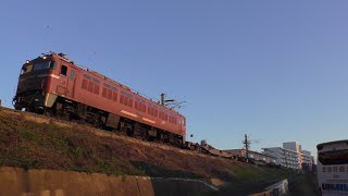 【JR貨物】 遅２０８１レ ＥＦ８１-４０３ 西濃コンテナ積載なし