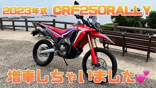 2023年型　CRF250ラリー納車！　2023.6.25