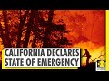 California: Wildfires burn record 2 million acres, state of emergency declared | World News