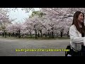 4k rwalks at osaka castle park 2023 sakura season cherry blossom