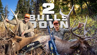 2 Bulls Down! Wyoming - Star Valley Outfitters \u0026 MOA Rifles