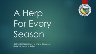 Water Wednesdays - A Herp for Every Season