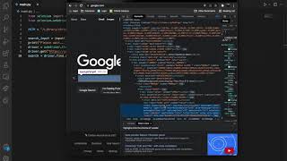 How to Make a Search Engine with selenium in python | Not so Pro Python Tutorials