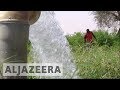 Niger’s water crisis hits farmers