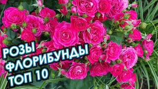 ТОП 10. РОЗЫ ФЛОРИБУНДА, СЕЗОН 2021.