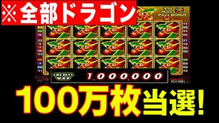 色々な意味でやらかして、「100万枚」当選しました...【ドラゴンキング】【メダルゲーム】