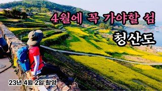 4월의 섬 청산도 유채꽃 트레킹 당일코스