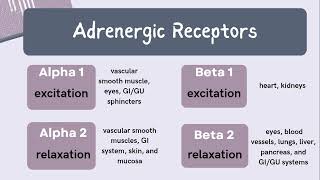 NP Exam Prep - Review of Alpha and Beta Adrenergic Receptors 🧠