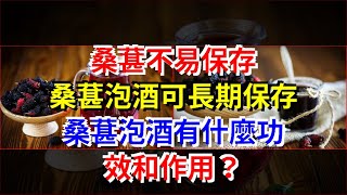 桑葚不易保存，桑葚泡酒可長期保存，桑葚泡酒有什麼功效和作用？