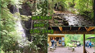 We visit Falling Foss \u0026 May Beck | Places to Visit in Yorkshire | Falling Foss Tea Room | Waterfall