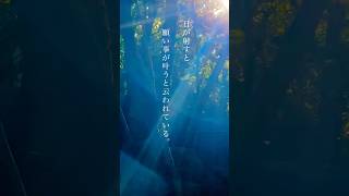 🦋🌹点滅　観覧注意⚠️越木岩神社の北ノ磐座に日が射すと願い事が叶う　初詣#パワースポット#旅行#スピリチュアル#shorts