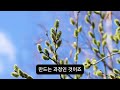 윤홍식의 수심결강의 제4장 불성을 보는 비결 그 네번째 이야기~그 일곱번째 이야기