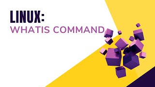 Whatis Command || Bash Scripting || Shell Scripting || By Designer Code