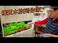 Robin aquarium came to your home unboxing new fish tank house aquatic plant