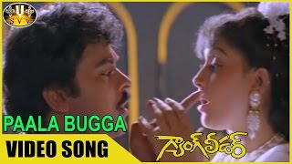 Paala Bugga Video Song || Gang Leader Movie || Chiranjeevi, Vijayashanti || Sri Venkateswara Videos
