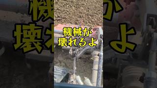 カチカチな田んぼ#出てきたのは？#Yanmar#田起こし