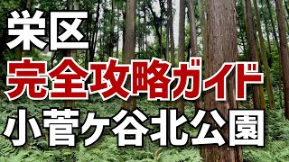 【栄区】自然を歩く！小菅ケ谷北公園【手ぶらでBBQも可】