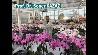 The World's Best Robotic Orchid Greenhouse