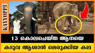 കൊലയാളി ആനയെ കടുവ ആശാൻ തളച്ച സംഭവം | vazhayil kochayyappan | kaduva velayudhan| kayyoppu malayalam