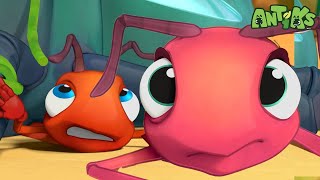 Squished! | 🐛 Antiks 🐛 | Preschool Learning | Moonbug Tiny TV