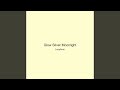 Glow Silver Moonlight