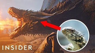 How The 'Game Of Thrones' Dragons Were Designed | Movies Insider