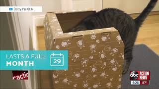 Kitty Poo Club: cat litter box subscription service