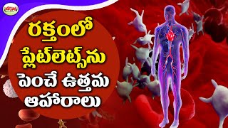 రక్తంలో ప్లేట్ లెట్స్ ని అభివృద్ధి చేసే ఉత్తమ ఆహారాలు | 7 Foods To Increase Blood Platelets.