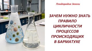 Что обязан знать каждый барматушник -ПРАВИЛА ЦИКЛИЧНОСТИ БАРМАТУХИ №728/25