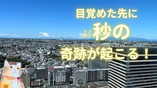 番外編　目覚めた先に35秒の奇跡が起こる❗️