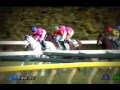 【競馬】 東京新聞杯 2016年 スマートレイアー エキストラエンド マヤノタバラのjra頭脳